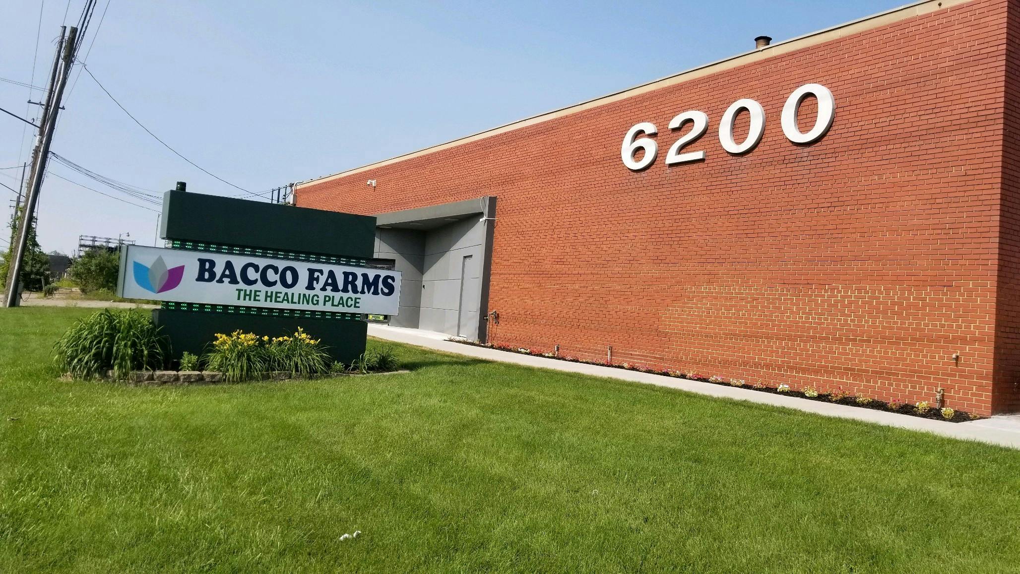 Bacco Farms - Dispensary Listing - Photo 3