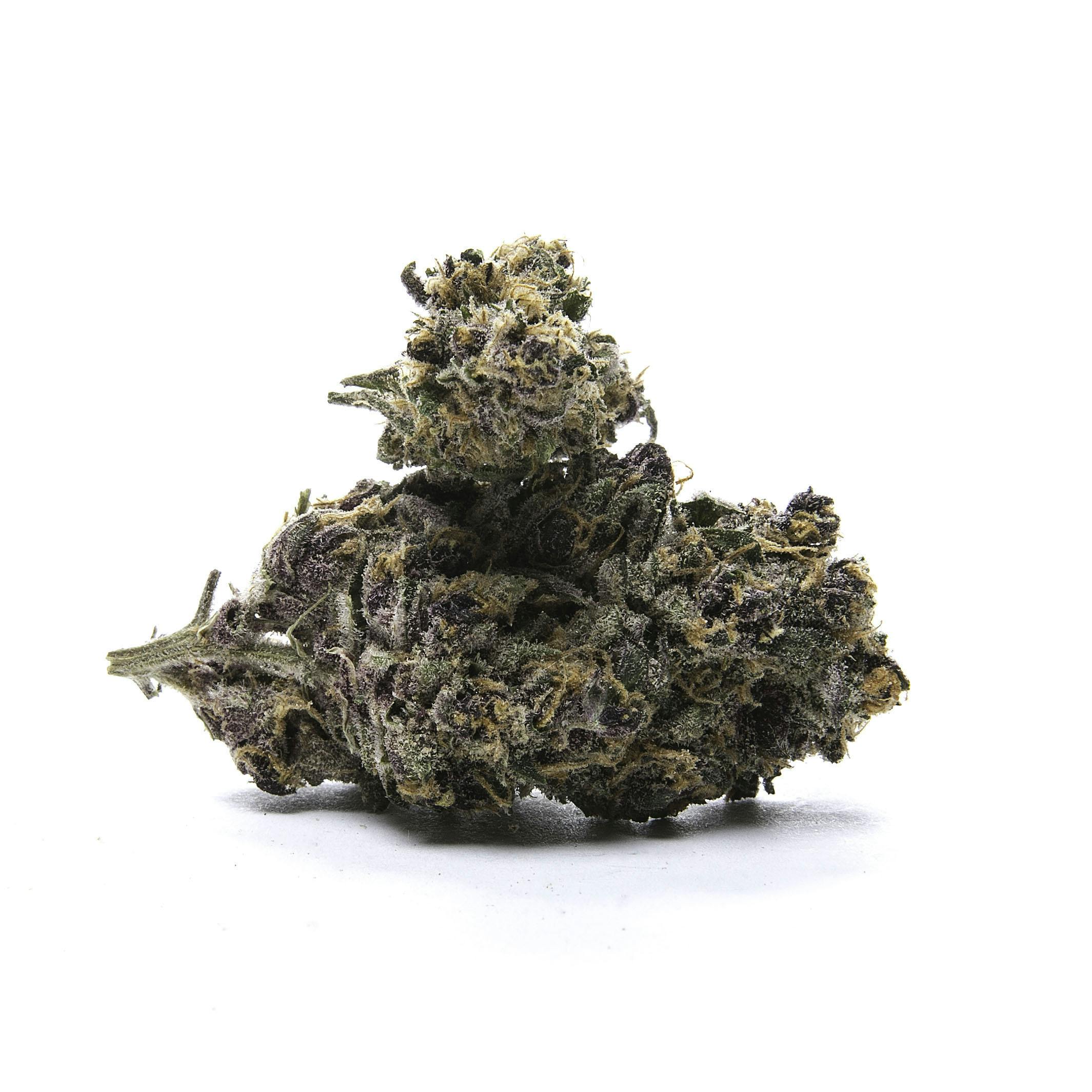 Runtz by Natty Rems Topshelf Bulk