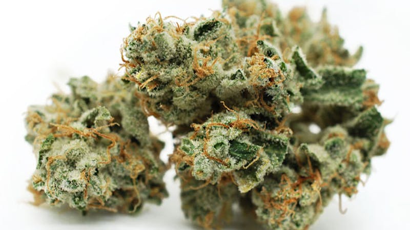 Desert Bloom Re-Leaf Center 25% OFF Mid Shelf Flower