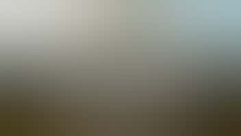 Justice Cannabis Company Wednesday - 30% OFF Wyld Gummies