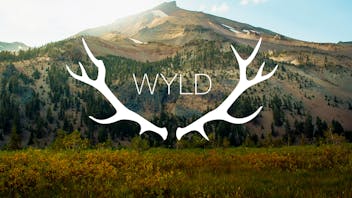 Justice Cannabis Company Wednesday - 30% OFF Wyld Gummies