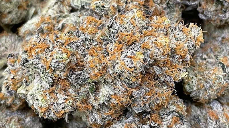 The Cannabis Cabin Daily Deal! $25 1/8th everyday!