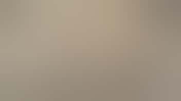 The Cannabis Cabin Daily Deal! $25 1/8th everyday!