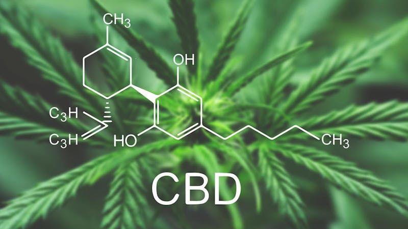 The Cannabis Cabin CBD Wednesday