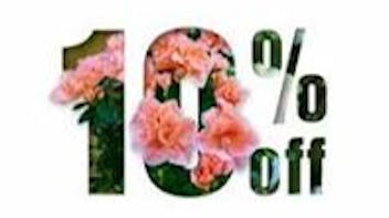 Purple Co. Bangor 10% OFF FLOWER ALL DAY!!