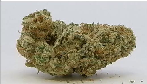 GG #4 1/4