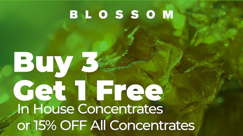 Blossom Cannabis - Biddeford Terpy Thursday - B3G1