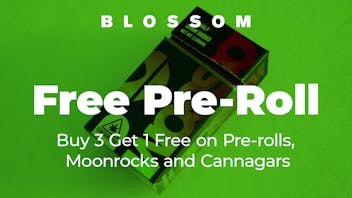 Blossom Cannabis - Biddeford Free Pre-Roll