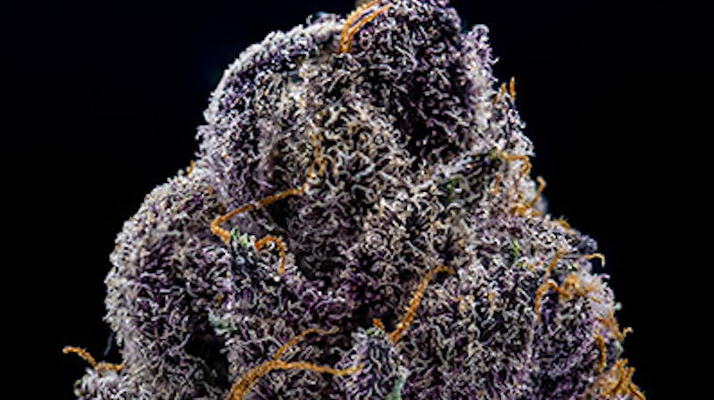 Brothers Cannabis - Bangor/Broadway 🌱 Mary Jane Monday: $25 JAR 🫙