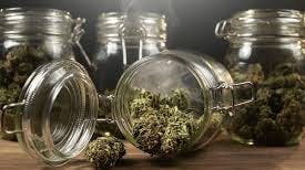 Sea Change Cannabis Stock Up Sunday