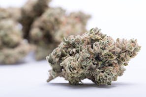 GOOD $44 GOOD Eighths!