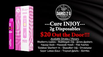 Danks 2 U Injoy Disposables 2g ($20 OTD)