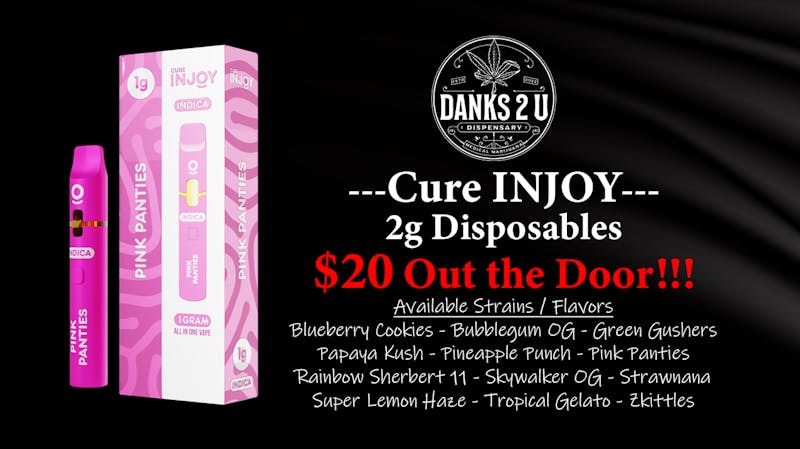 Danks 2 U Injoy Disposables 2g ($20 OTD)