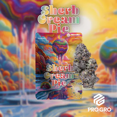 PRO GRO | SHERB CREAM PIE | INDICA | PRE PACKAGED 8TH | 3.5G