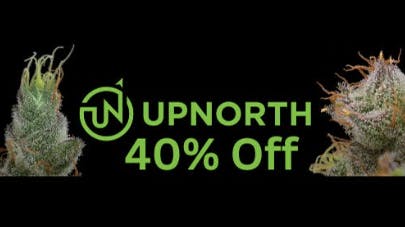 Phenotopia 40% OFF UPNORTH