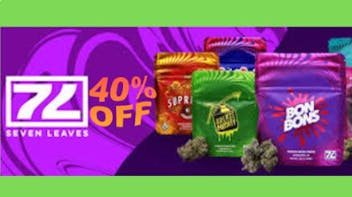 Phenotopia 40% OFF SEVEN LEAVES