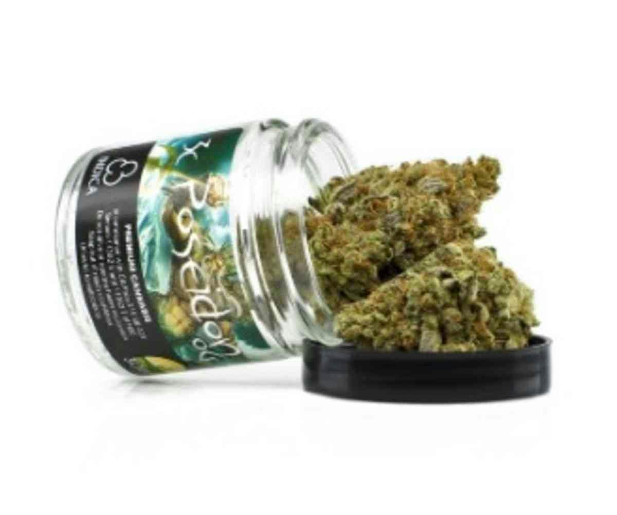 Higher Purpose Delivery - Delivery Listing - Photo 3