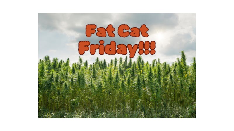 2 Fat Cats Organics FAT CAT FLOWER FRIDAY!