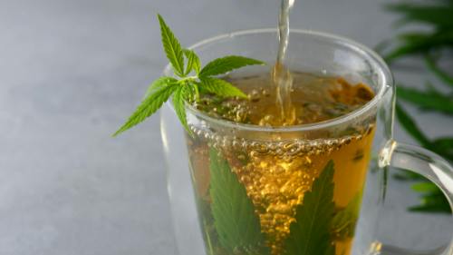 420 Pharma Thirsty Thursday 15% off drinks