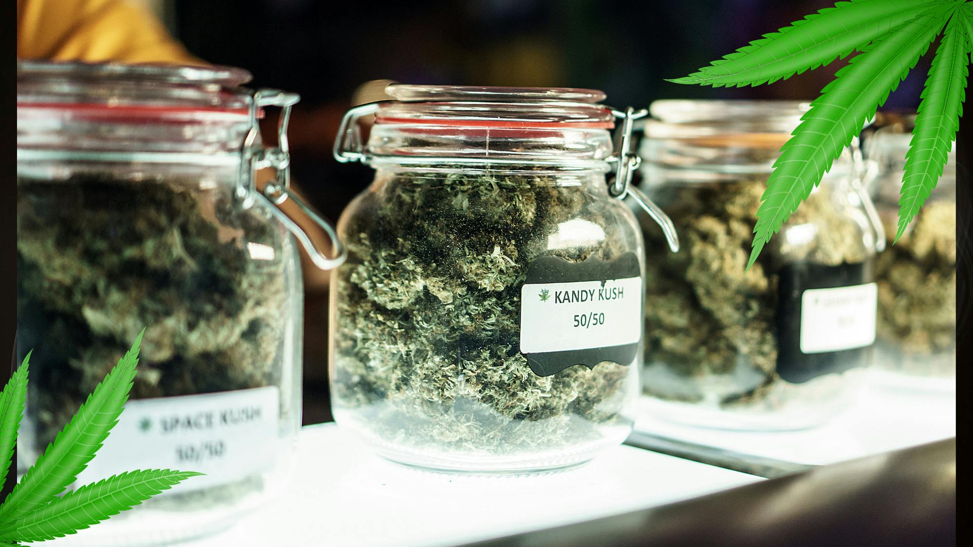 420 Pharma Weednesday $24 for 1/8th!