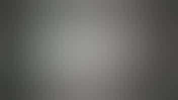 365 Recreational Cannabis - Seattle Pandamonium Mondays!