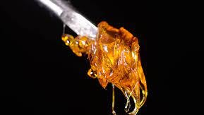 365 Recreational Cannabis - Seattle Concentration Station!