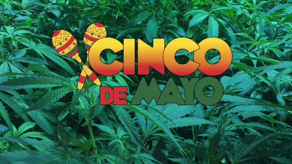 365 Recreational Cannabis - Seattle Feliz Cinco De Higho!