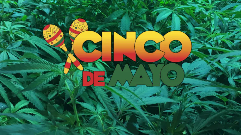 365 Recreational Cannabis - Seattle Feliz Cinco De Higho!