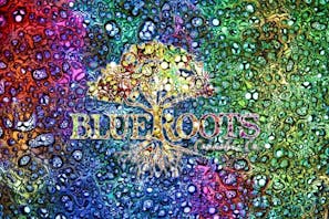 365 Recreational Cannabis - Seattle Blue Friday!