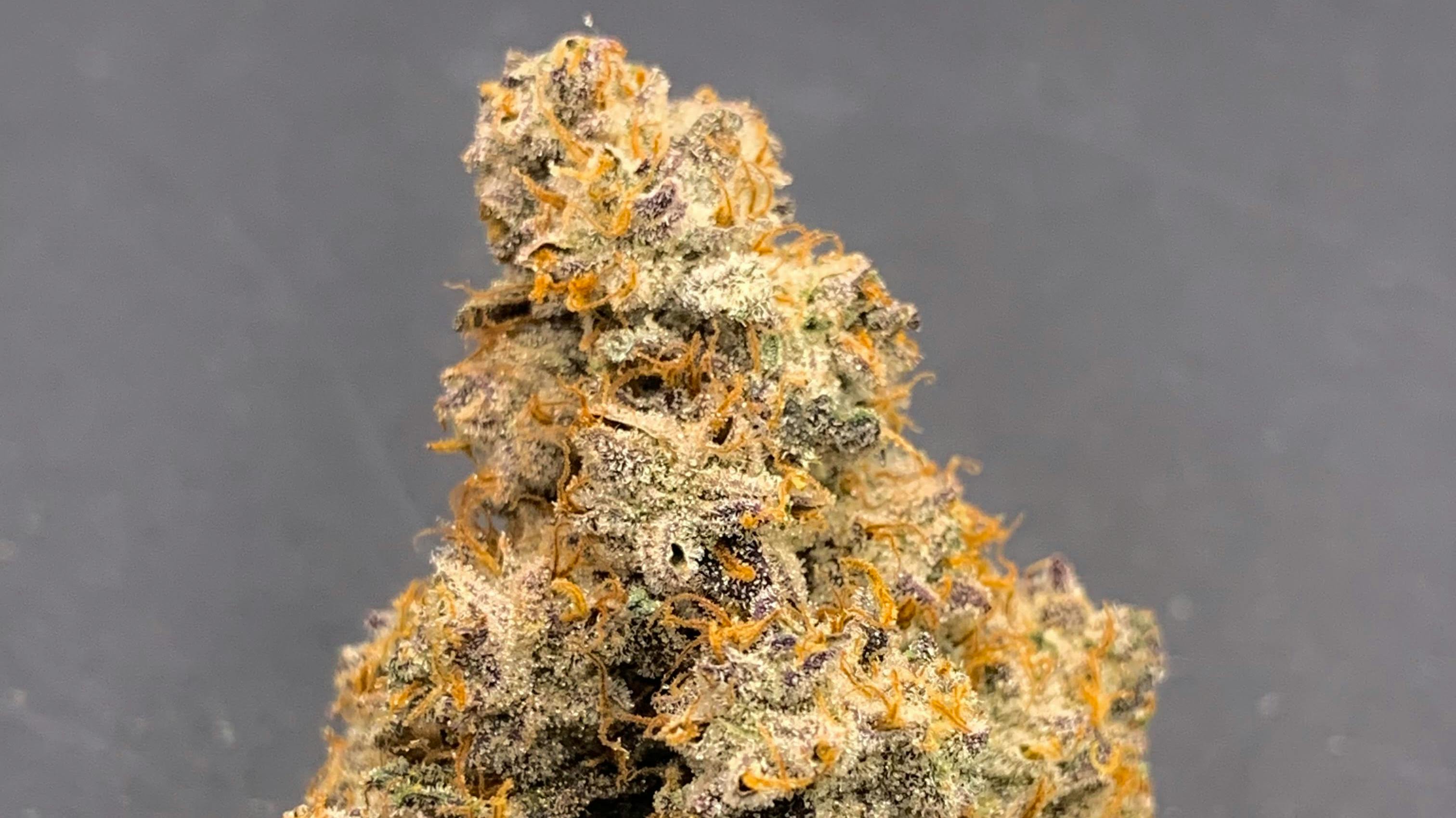 Lonely Bones - By Appt/Curbside Only Mix and Match Ounces