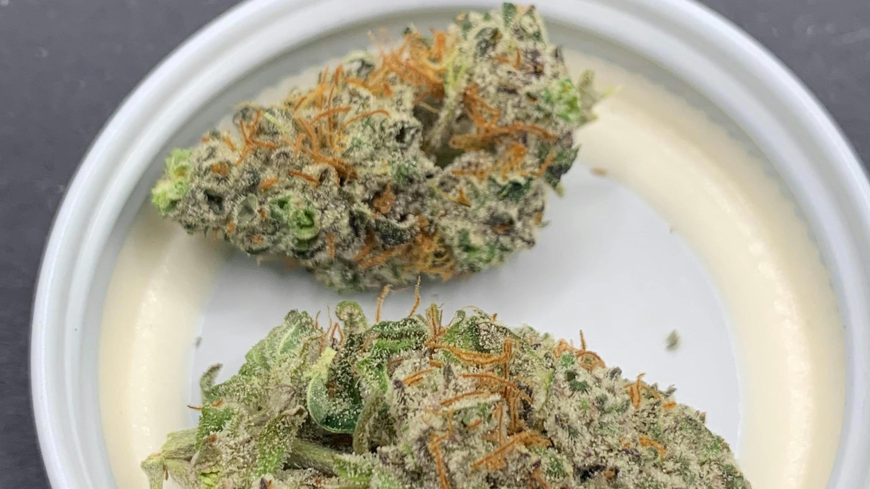 Lonely Bones - By Appt/Curbside Only Smalls Smalls Smalls