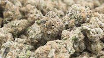 Botanical Cloud Co. LLC Terpnerd Select : 3.5g @ $12.50 / 1oz at $85