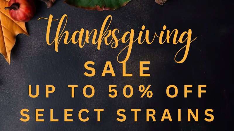Botanical Cloud Co. LLC 50% OFF Thanksgiving Sale!