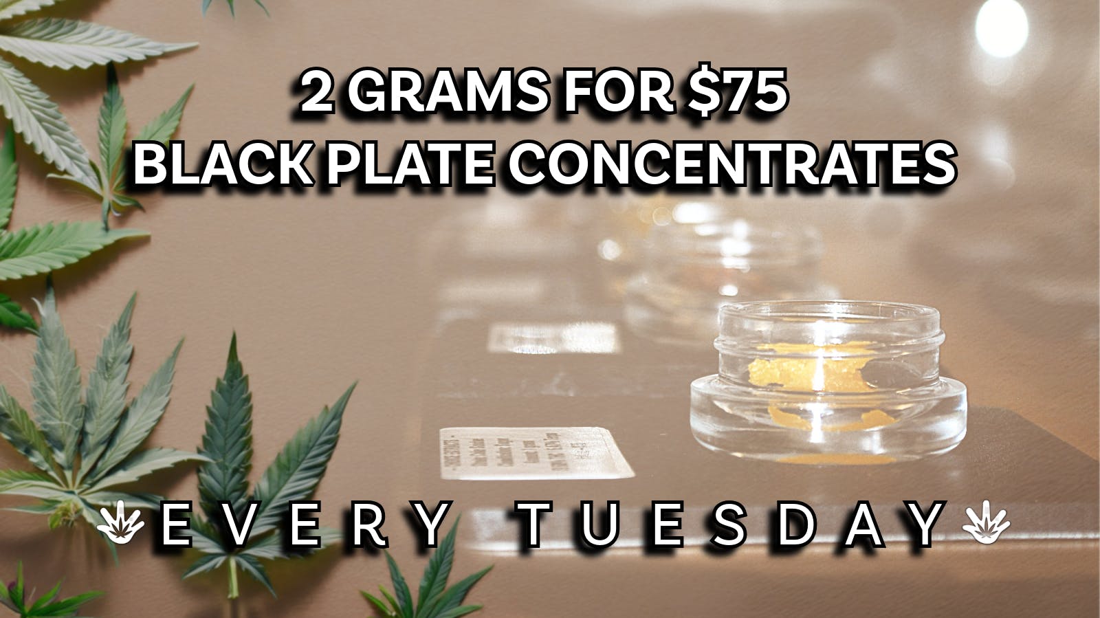 Catalyst Cannabis Company - Old Seward 2 for Tuesday - Dab Deals