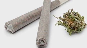 Take Me Home Cannabis Toonie Tuesdays $2 Pre-roll