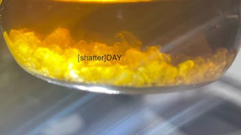 Collective Elevation Bozeman Main St [shatter]DAY 5%OFF Concentrates