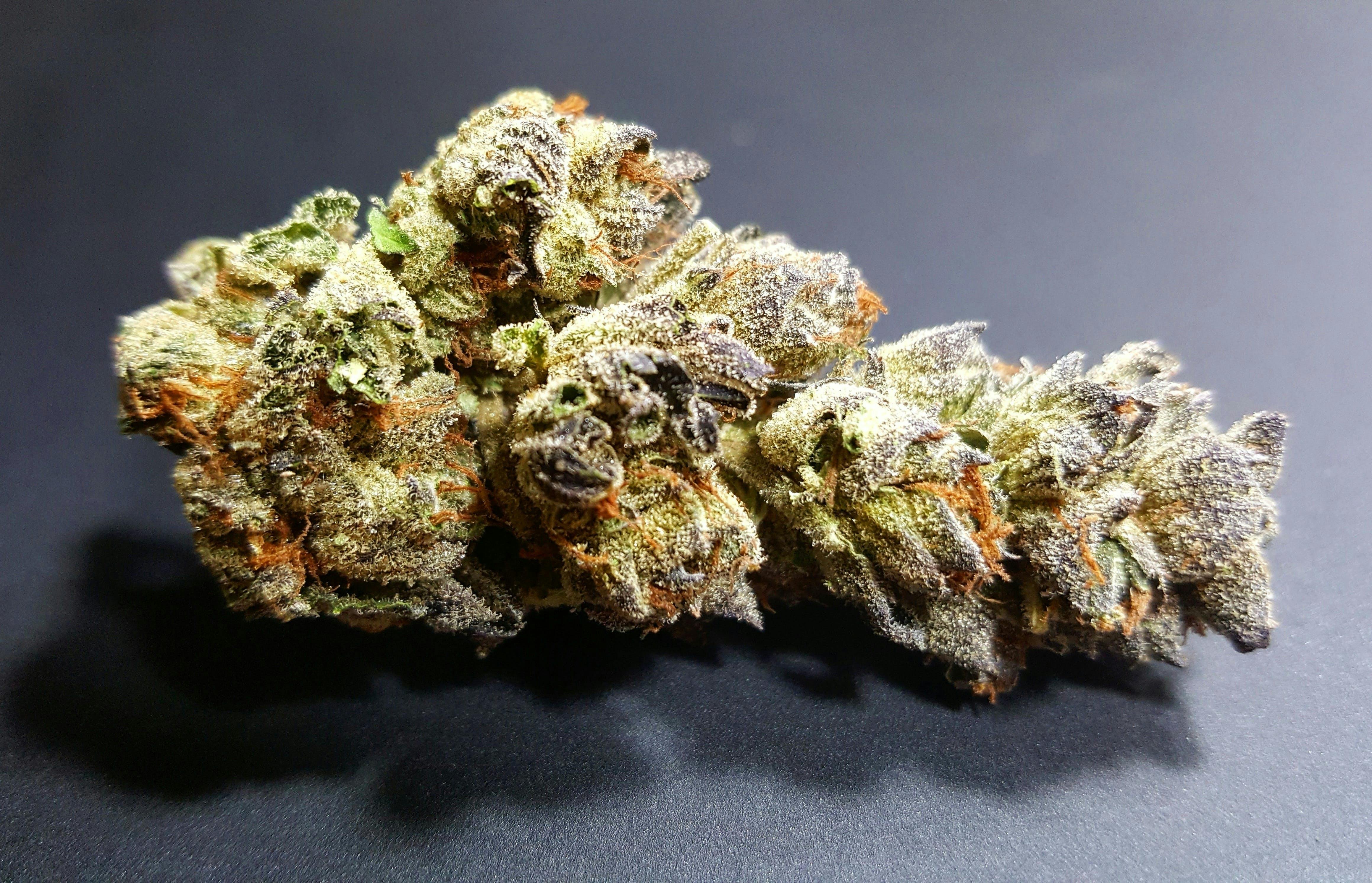 Ohana Gardens - Delivery Listing - Photo 1