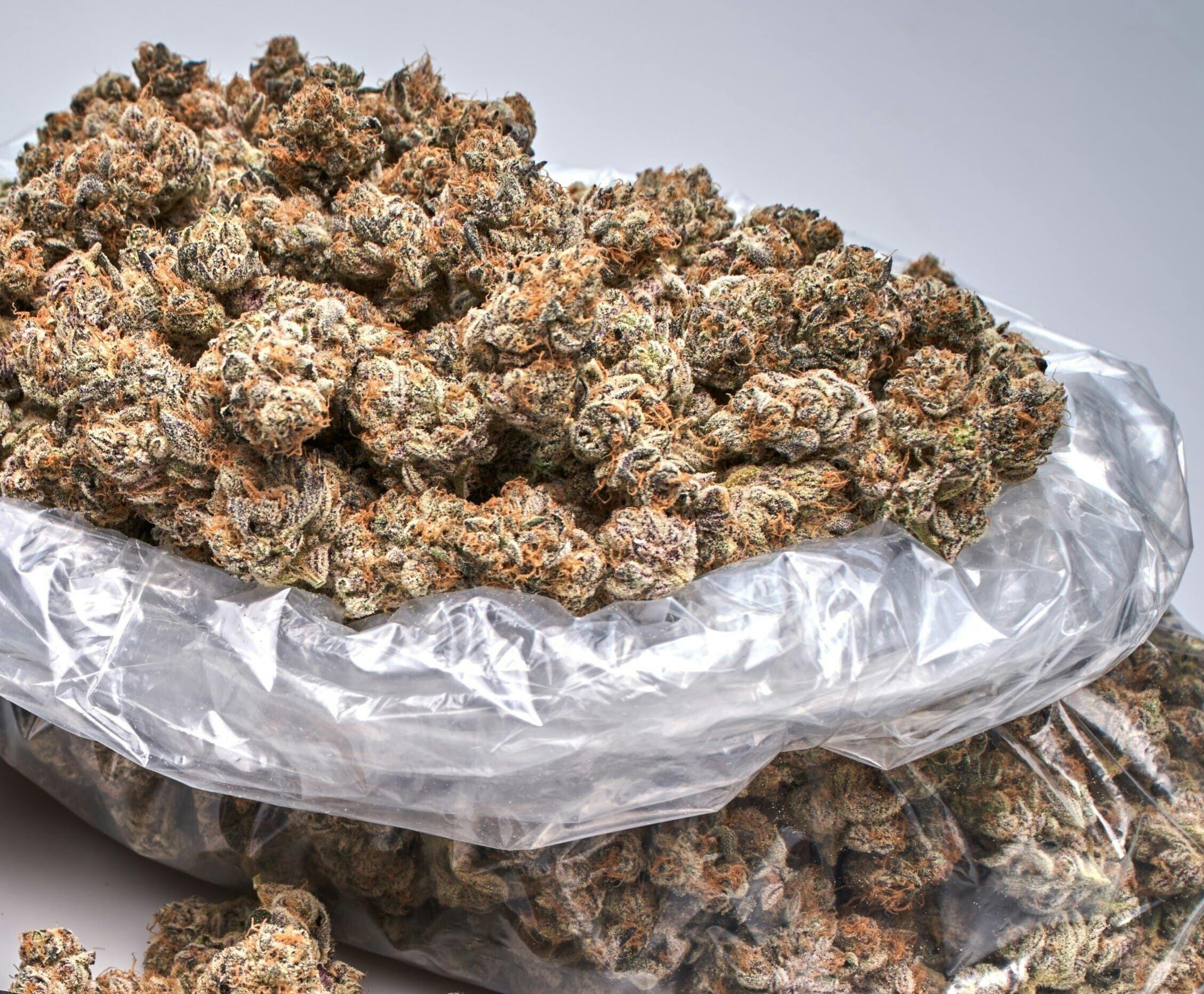 Ripple Wellness - Saco $70 OUNCE/ $165 2.5 OUNCES