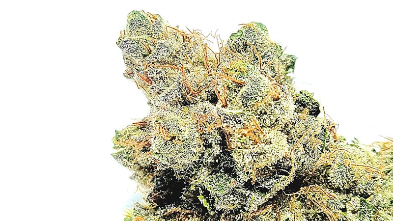 Evergreen Cannabis Co $99 OUNCES! Top Tier Flower! AAA+