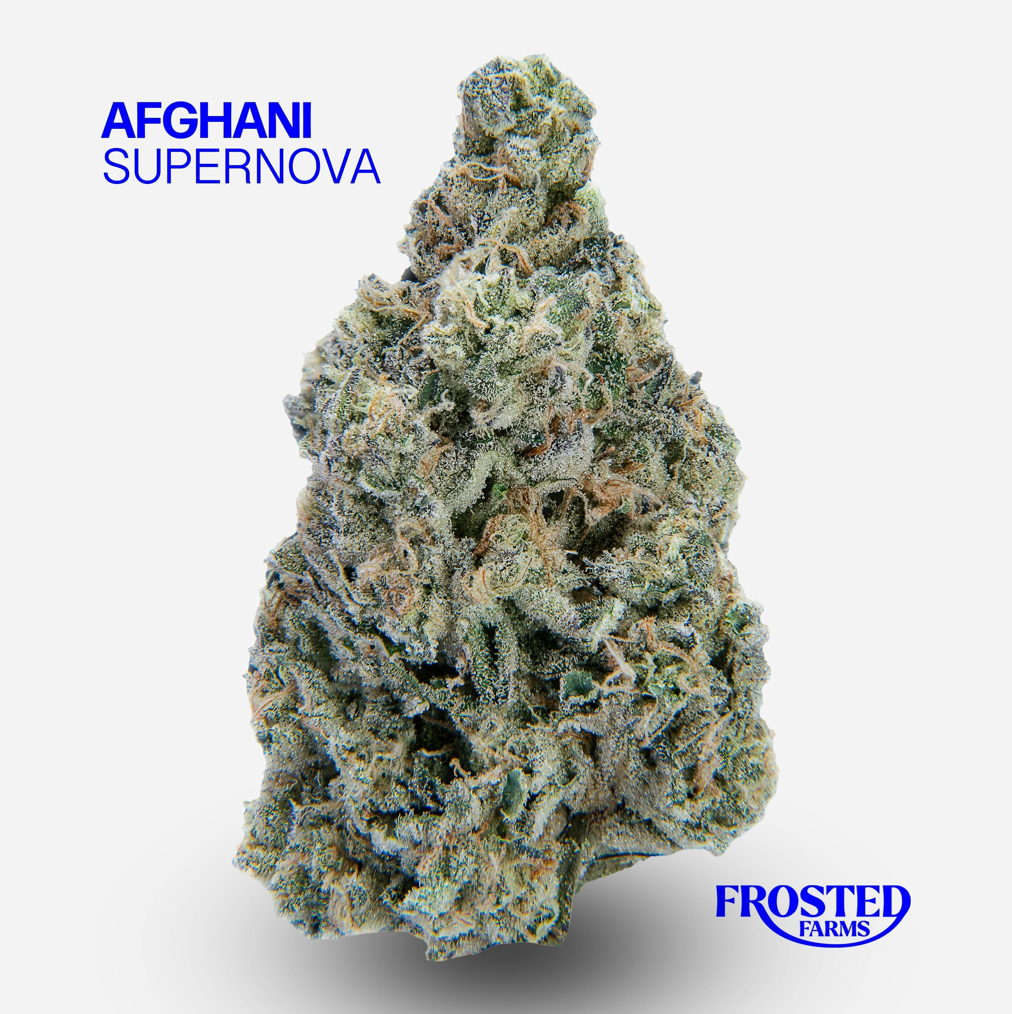Afghani Supernova | Frosted Farms