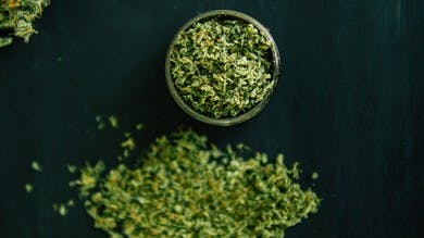 Colfax Cannabis Company Daily Deal: $25 Premium Shake Oz