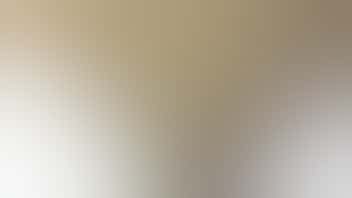 Trinidads Higher Calling U 25% OFF PREROLLS & SHAKE