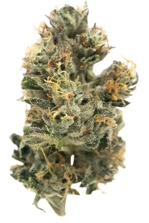 New Altitude Farms - Kosher Dawg - 3.5g