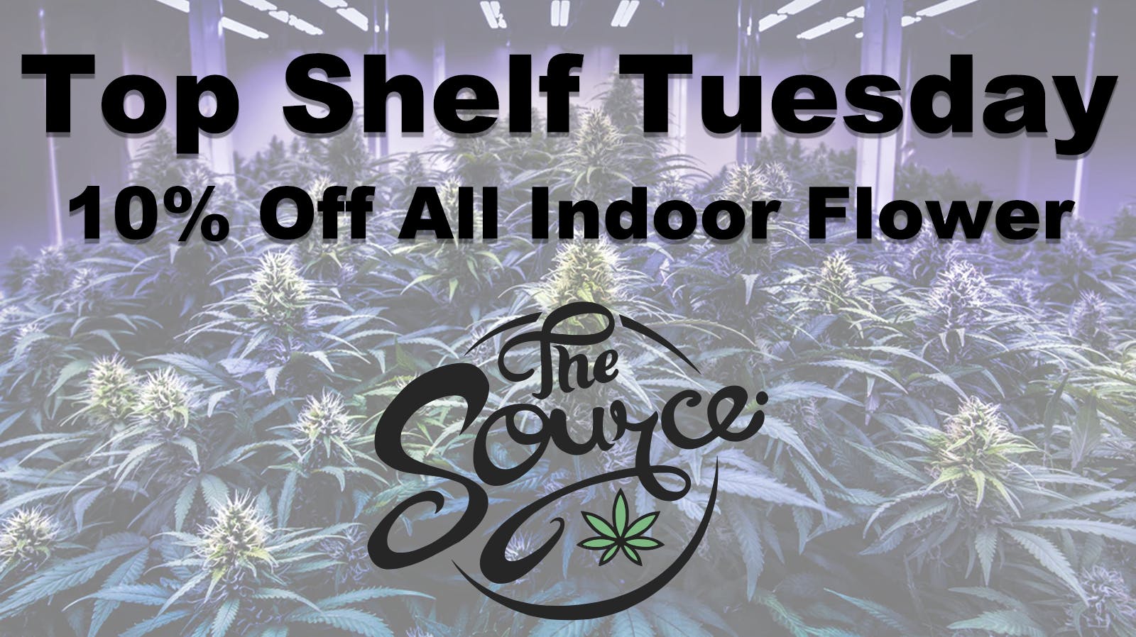The Source TOP SHELF TUESDAY!
