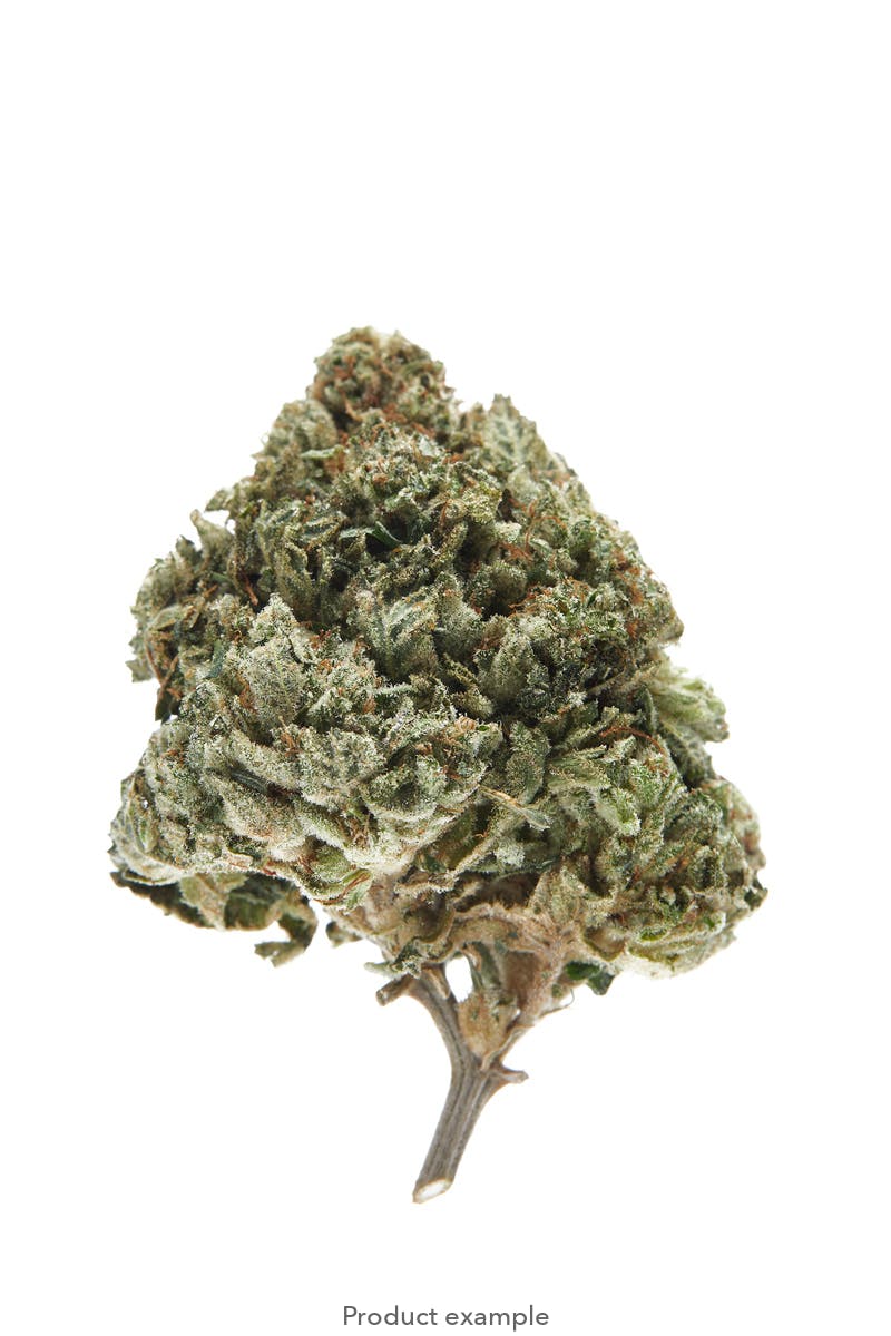 Elite Cannabis - Havana $30 OTD Full Bud Ounces!