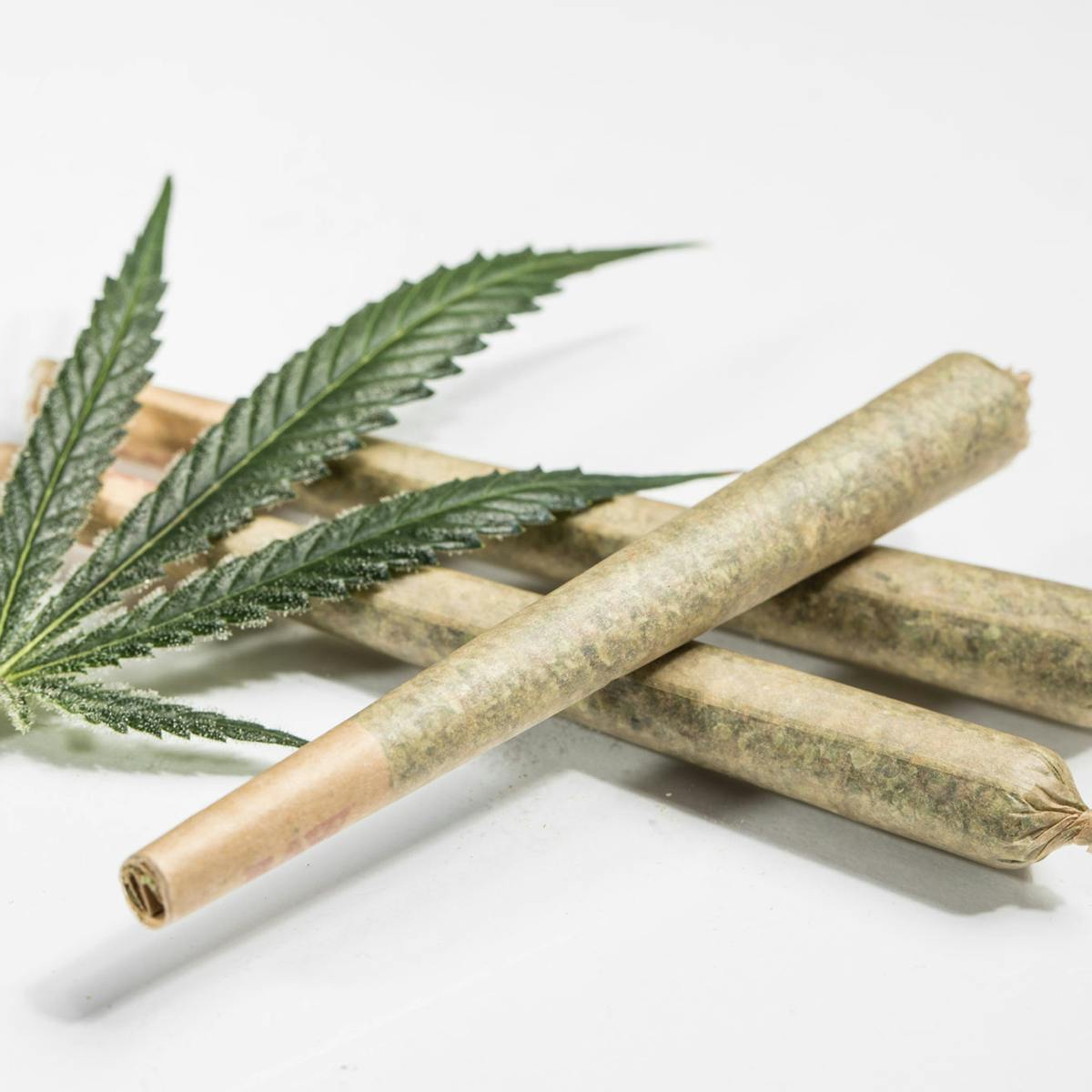 Cloudberry Cannabis 10% OFF PREROLLS!!