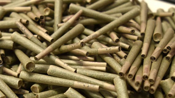 Elevation 2150 Wellness Wednesday15%Off PreRoll