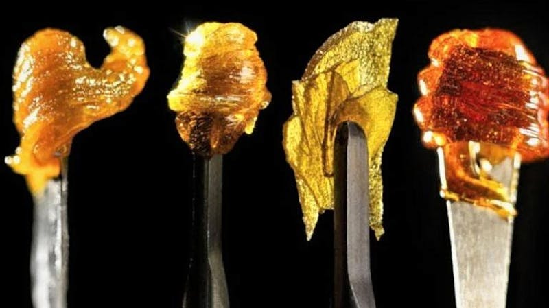 Elevation 2150 Shatterday 15% Off Concentrates