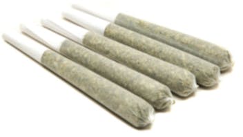 EVOLV Cannabis Thursdays - Penny Pre-Roll