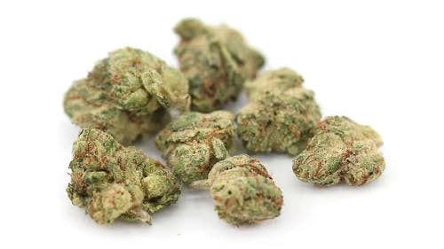 Rocky Farms Tuesday – Eighth Special